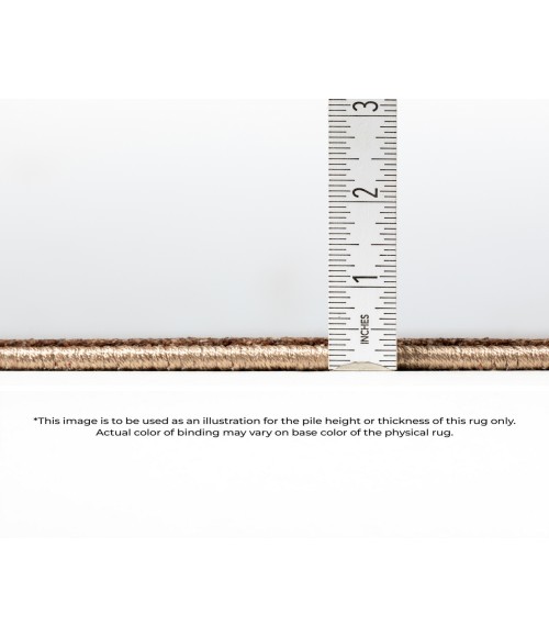 Dalyn Vizcia VZ2 Gold 1'8" x 2'6" Rug