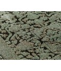 Dalyn Vizcia VZ2 Green 1'8" x 2'6" Rug