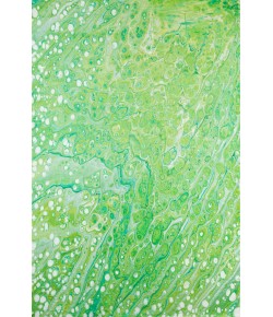 Dalyn Kikiamo KK5 Lime-In Area Rug 8 ft. X 8 ft. Round
