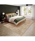 Dalyn Antalya AY3 Flax Area Rug 7 ft. 10 in. X 10 ft. Rectangle