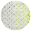 Dalyn Seabreeze SZ5 Lime-In Area Rug 8 ft. X 8 ft. Round