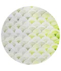 Dalyn Seabreeze SZ5 Lime-In Area Rug 8 ft. X 8 ft. Round