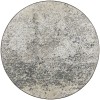 Dalyn Winslow WL3 Graphite Area Rug 10 ft. X 10 ft. Round