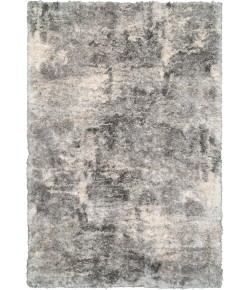 Dynamic Rugs REVERIE Cream/Grey 3543 2ft x 3ft. 3in. Rect. Rug