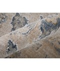 Feizy Pasha BEIGE/BLUE PAS39M7F 2 ft. X 3 ft. Rectangle Rug