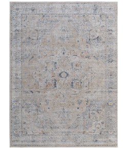 Feizy Pasha BEIGE/BLUE PAS39M5F 2 ft. X 3 ft. Rectangle Rug