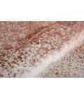 Feizy Grier Industrial Gradient & Ombre, Ivory/Orange/Gray, 8' x 10' Area Rug