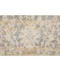 Feizy Camellia Casual Floral & Botanical, Gray/Ivory, 4'-3" x 6'-3" Accent Rug