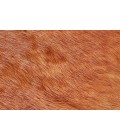 Feizy Bartlett Cabin & Lodge Animal Print, Brown, Small Shaped Rug