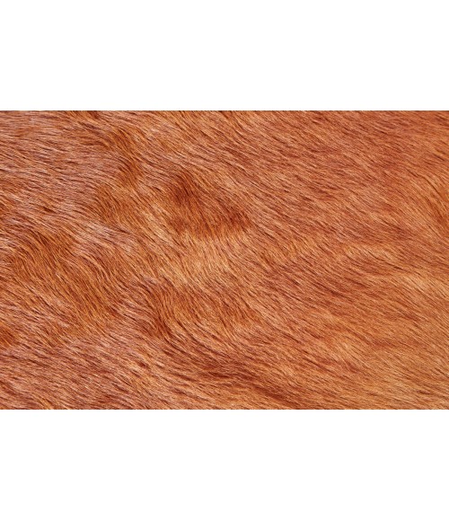 Feizy Bartlett Cabin & Lodge Animal Print, Brown, Small Shaped Rug