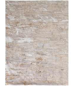 Feizy Laina BEIGE/GRAY LAI39G5F 3 ft. X 5 ft. Rectangle Rug