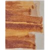 Feizy Anya 8921F TERRACOTTA/IVORY Area Rug 2 ft. X 3 ft. Rectangle