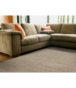 Feizy Durham I0526 SAND Area Rug 2 ft. X 3 ft. Rectangle