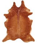 Feizy Bartlett Cabin & Lodge Animal Print, Brown, Small Shaped Rug