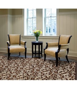 Feizy Saphir 3780F IVORY/CHOCOLATE Area Rug 7 ft. 6 in. X 10 ft. 6 in. Rectangle
