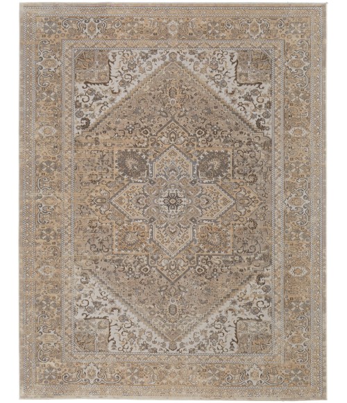 Feizy Celene Vintage Medallion, Brown/Ivory/Tan, 9' x 12' Area Rug