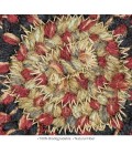 Home Spice Jute Braided Accessories Multi Rug 240013PS 4 in. Set of 6 Round - Rugs Town Home Spice Jute Braided Accessories Multi 240013PS 4 in. Set of 6 Round Rug