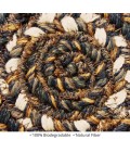 Homespice Decor Jute Braided Accessories Kilimanjaro Black 240006PS 4 in. Set of 6 Round Rug