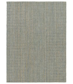 Jaipur Living Amity Vidalia AMI02 Blue - Gold 10 ft. X 14 ft. Rectangle Rug