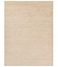 Jaipur Living Aposio Beige APS01 8 ft. X 10 ft. Rectangle Rug