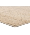 Jaipur Living Aposio Beige APS01 8 ft. X 10 ft. Rectangle Rug