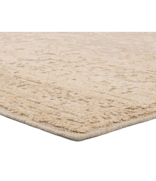 Jaipur Living Aposio Beige APS01 8 ft. X 10 ft. Rectangle Rug