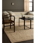 Jaipur Living Aposio Beige APS01 8 ft. X 10 ft. Rectangle Rug