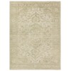 Jaipur Living Aposio Pranhita APS02 Sage - Light Gray 8 ft. X 10 ft. Rectangle Rug