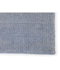 Jaipur Living Danan Indoor/ Outdoor Solid Light Blue/ Cream Area Rug 4'X6'