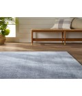 Jaipur Living Danan Indoor/ Outdoor Solid Light Blue/ Cream Area Rug 4'X6'