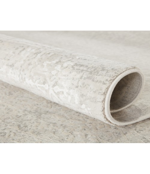 Cirque Area Rug Jaipur Living Lianna Abstract Silver/ White Area Rug (3'11"X5'11")