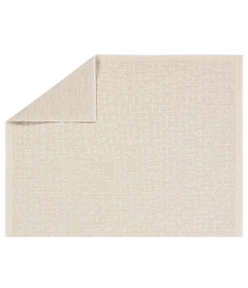 CNT01 Axiom Rug Vibe by Jaipur Living Axiom Indoor/Outdoor Abstract Cream Area Rug 2'X3'