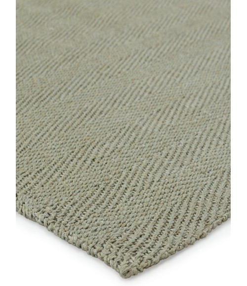 CTT01 Ranier Rug Jaipur Living Ranier Natural Solid Green Area Rug 5'X8'