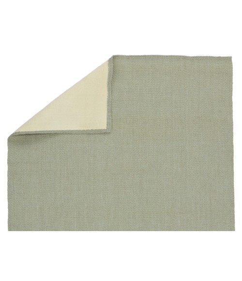 CTT01 Ranier Rug Jaipur Living Ranier Natural Solid Green Area Rug 5'X8'