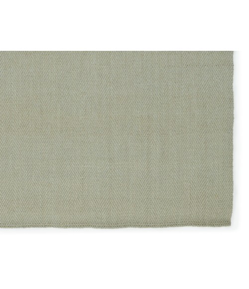 CTT01 Ranier Rug Jaipur Living Ranier Natural Solid Green Area Rug 5'X8'