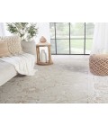 Vibe by Jaipur Living Dhaval Oriental Light Gray/ White Area Rug (8'10"X12'7")