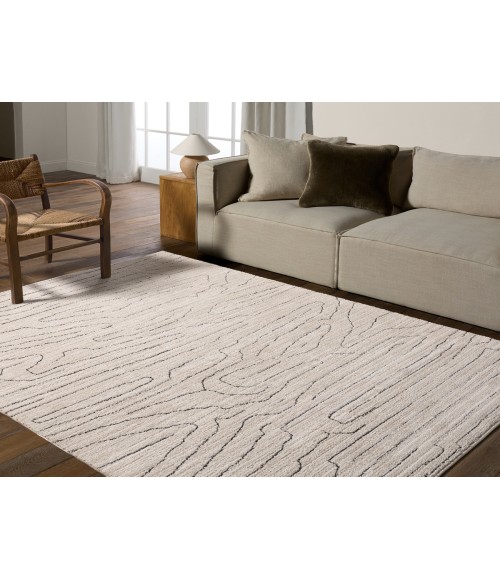 Jaipur Living Eva Tan/Taupe EVA01 9 ft. 6 in. X 13 ft. 6 in. Rectangle Rug