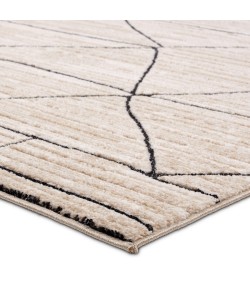 Jaipur Living Eva Ivory Eva07 7 Ft. 9 In. X 9 Ft. 9 In. Rect. Rug