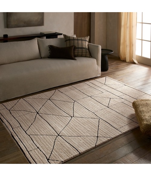 Jaipur Living Eva Ivory Eva07 7 Ft. 9 In. X 9 Ft. 9 In. Rect. Rug