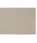 Jaipur Living Texel Indoor/Outdoor Solid Taupe Area Rug 4'X6'