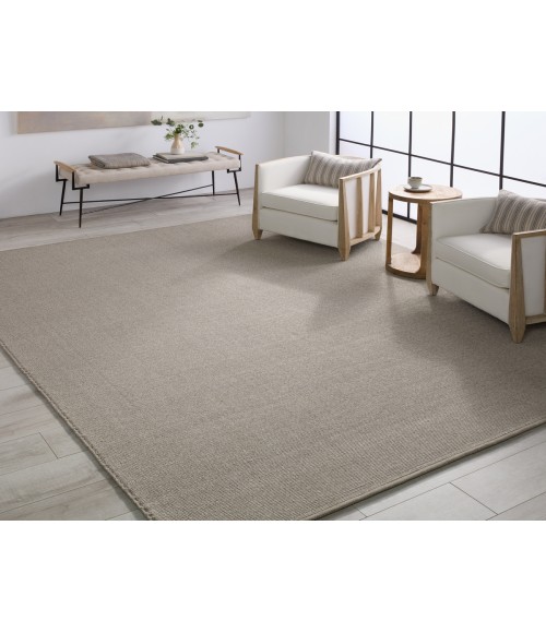 Jaipur Living Texel Indoor/Outdoor Solid Taupe Area Rug 4'X6'