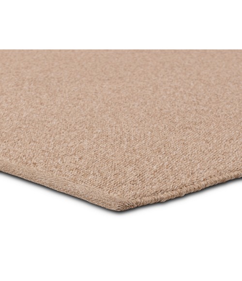 Jaipur Living Texel Indoor/Outdoor Solid Brown Area Rug 4'X6'