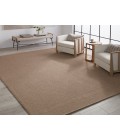Jaipur Living Texel Indoor/Outdoor Solid Brown Area Rug 4'X6'