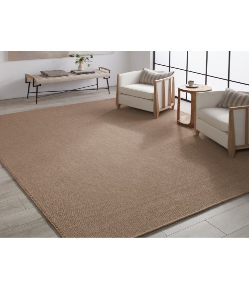 Jaipur Living Texel Indoor/Outdoor Solid Brown Area Rug 4'X6'
