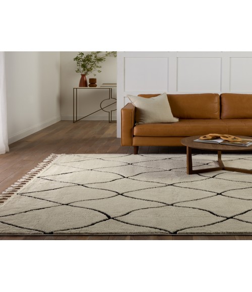 Vibe by Jaipur Living Treble Trellis Ivory/ Black Area Rug 5'X7'