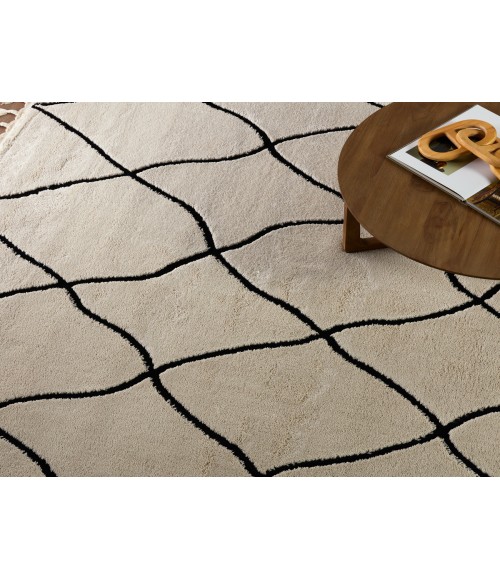 Vibe by Jaipur Living Treble Trellis Ivory/ Black Area Rug 5'X7'