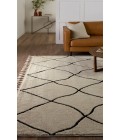 Vibe by Jaipur Living Treble Trellis Ivory/ Black Area Rug 5'X7'