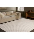 Jaipur Living Jaida White JID24 5 ft. X 7 ft. Rectangle Rug