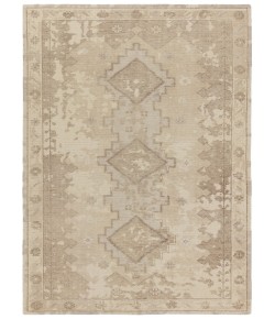 Jaipur Living Kai Pathos KAI13 Taupe - Cream 5 ft. X 8 ft. Rectangle Rug