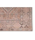 Jaipur Living Marquesa Trellis Light Pink/ Blue Area Rug (7'6"X9'6")
